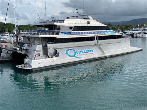 quicksilver port douglas reviews|Quicksilver Cruises .